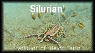 The Evolution of Life part 4 : Silurian