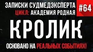 Записки Судмедэксперта #64 «Кролик в сметане» (Академия родная)