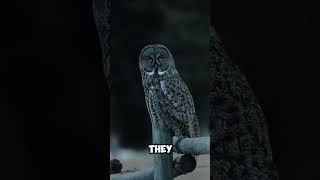Mind-Blowing Insights: How Animals Perceive Our World!