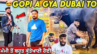 ਗੋਪੀ ਆ ਗਿਆ Dubai too...️ ਆਉਂਦੇ ਏ ਕੁੱਤੇਖਾਣੀ ਹੋਣ ਲੱਗ ਗਈ... #manishoker #gopishoker #video