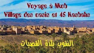 Nkob النقوب