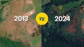 Rebuilding Brazil's Forgotten Forest