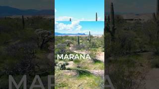 What's REALLY Happening in Marana Arizona?