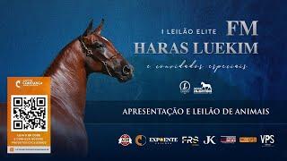 Leilão de Animais - I Leilão Elite Haras Luekim