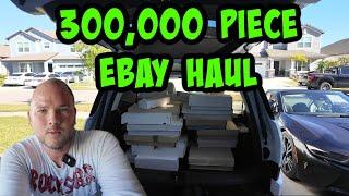 How I bought a MASSIVE 300,000 Piece Ebay Haul