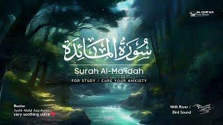 The Secret of Peace of Mind: Surah Al-Maidah | Find Sobriety with the Quran Is My Healer!