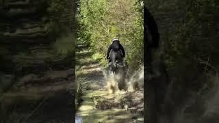 EXTREME OFF ROAD Husqvarna Norden 901 Rally Enduro #shorts #norden901 #husqvarna #offroad