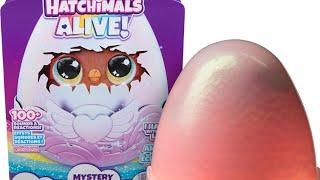 Opening a hatchimals alive mystery hatch egg 2 DAYS BEFORE RELEASE