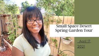 Small Space Desert Spring Garden Tour -  April 17, 2021