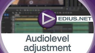 EDIUS.NET Podcast - Audiolevel adjustment