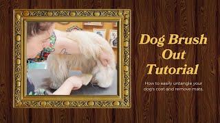 How to Brush Out & Remove Mats Dog Grooming Tutorial