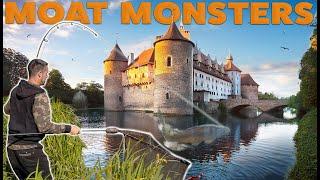 Carp Fishing a Castle's Moat!  Lee Mozza Morris | Venue with a Difference