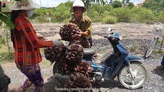 Asian NIPA PALM Fruit - Fresh Nypa Fruticans Juice - Vietnamese Fruit Dua Nuoc