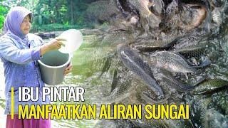 "PINTAR PINTARLAH JADI PETANI" MANFAATKAN ALIRAN SUNGAI DERAS UNTUK BUDIDAYA IKAN NILA DAN BAWAL