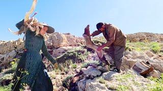 Bad Event for Shahin while Carrying Firewood and Atabek Helping Ger