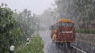 WALK IN THE POWERFULL OF HEAVY RAIN IN MY RURAL VILLAGE LIFE INDONESIA