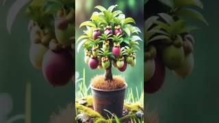 #diy #gardening #garden #bonsai #fruit #harvesting #farming #fruiting #fruitplants #growguavatree