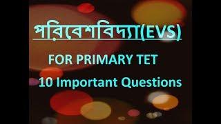 Primary TET EVS