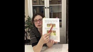 Математика до школы. Математическая сказка живет тут. Обзор рабочей тетради для 4-5 лет