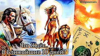ЧТО СЛУЧИТСЯ В ТВОЕЙ ЖИЗНИ СОВСЕМ СКОРО⁉ ️ Узнай БЛИЖАЙШЕЕ БУДУЩЕЕ ️ расклад таро
