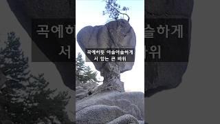 자연이 만든 신기한 서낭바위 복어바위 /세상에 이런 바위가..