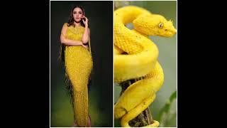 all naagin actress versus same colour snake