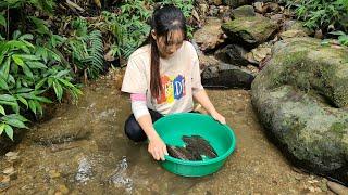 Single girl, draining a shallow stream to catch fish - Daily Life Thuy