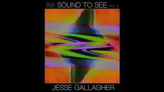 THE SNOWBIRD STRUT ~ JESSE GALLAGHER
