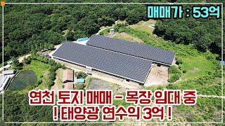 연천 토지 매매 - 목장 임대 중, 태양광 100kw 11개 포함 매각 (연수익 3억)