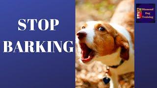 How To Stop Your Dog From Barking At Passers By