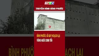 Bình Phước: Sẽ quy hoạch lại vùng nuôi chim yến #shorts   | BPTV
