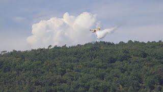 A fuoco dieci ettari di bosco, in corso la bonifica