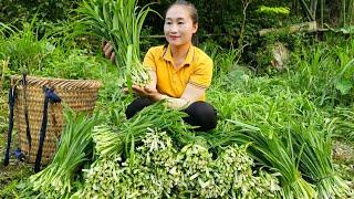 Harvest green vegetables goes to the market sell - Cooking | Ly Thi Tam