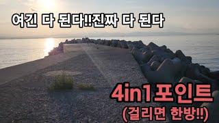 포항낚시 !  원투 루어 찌낚 캠낚 물놀이 다 가능하지 한마디로 5in1이다! 또 한방터 라는거!!