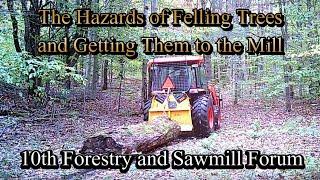 10th Forestry & Sawmill Forum