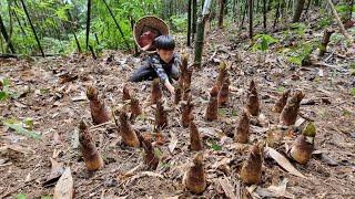 Nam - poor boy: Making bamboo house doors. Go to the forest to pick bamboo shoots to sell