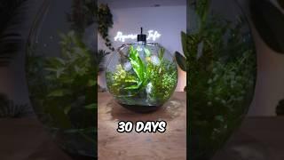 30 Days ago, I Built an Ecosystem…