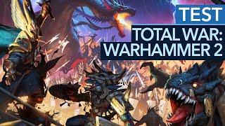 Total War: Warhammer 2 - Test / Review: Tolle Schlachten, ein entscheidender Fehler (Gameplay)