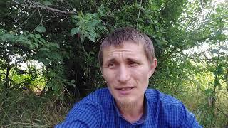 Книга о самообеспечении.