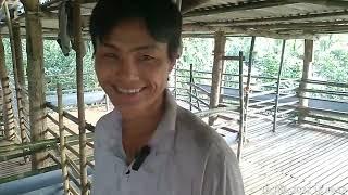 làm cách gì dê xù lông nhanh lớn ? - ù sáng nuôi dê