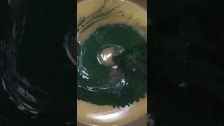 Мыло с нуля. Со спирулиной. Мыловарение
