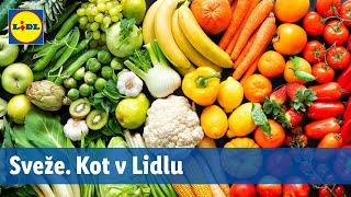 Sveže. Kot v Lidlu | Od 25. 7. do 27. 7. | Lidl Slovenija