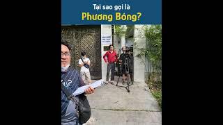 Sốc! Huỳnh Phương Lộ Giới Tính Thật | FAPTV Shorts #shorts