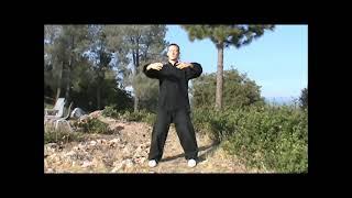 30 Min. Daily Standing Meditation (Zhan Zhuang Qigong) Follow-Along