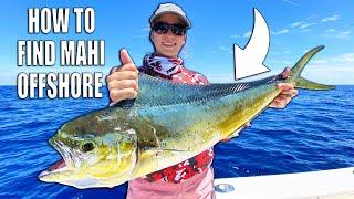 HOW TO FIND MAHI - Fishing for Pelagic Offshore Fish