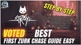 BEST Voted CAN'T CAT-CH ME Trophy GUIDE - Stray First Zurk Chase