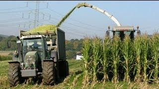 Bioenergy Lempetal (US version)