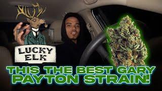 THE BEST STRAIN EVER!? LUCKY ELK GARY PAYTON REVIEW