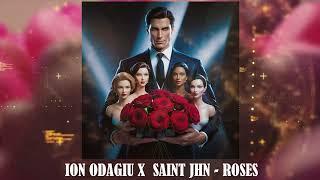 Ion Odagiu x Saint Jhn - Roses (ft. Iugo Daoni) [Official Visualizer]