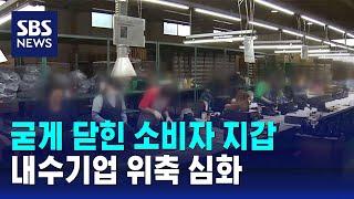 지갑 닫은 소비자들…경기 부진 내수기업 위축 심화 / SBS